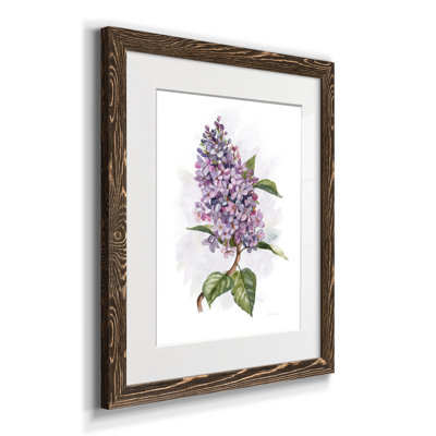 Awash In Lilac II - impression