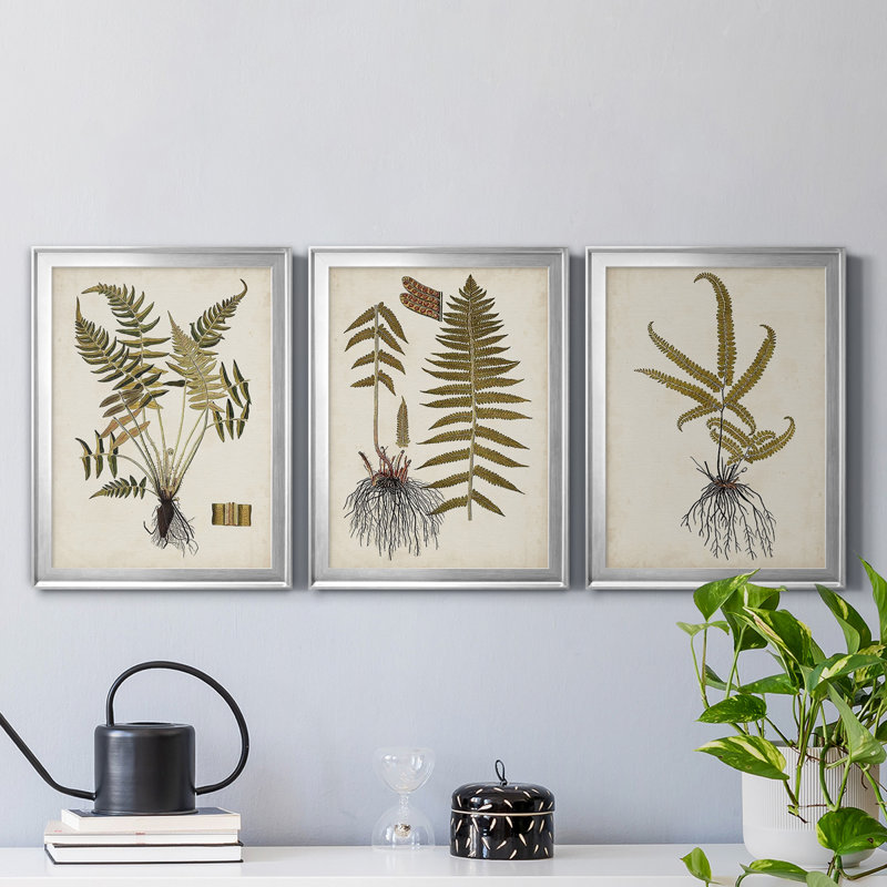 Fern Botanical IV - Ensemble de 3 peintures sur toile encadrées, H 30,5 po x l 127,5 po x P 4,5 po, Argent