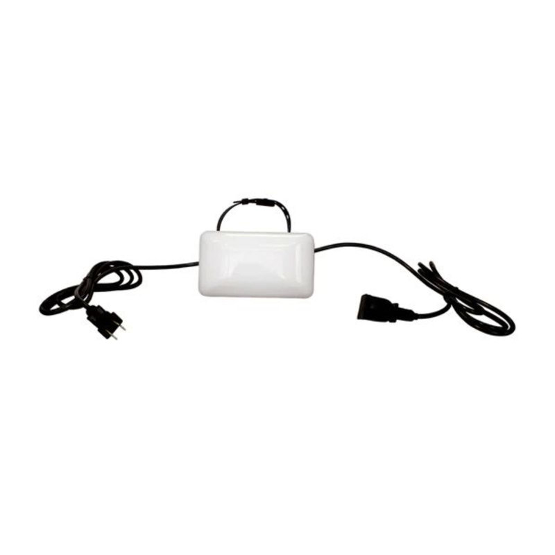 Leonice Outdoor 1 - Bulb 120'' Plug-in LED String Light
