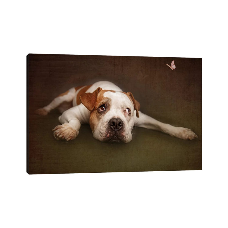 Illusion by Heike Willers - Wrapped Canvas Print, 20.32cm H x 30.48cm W x 1.91cm D