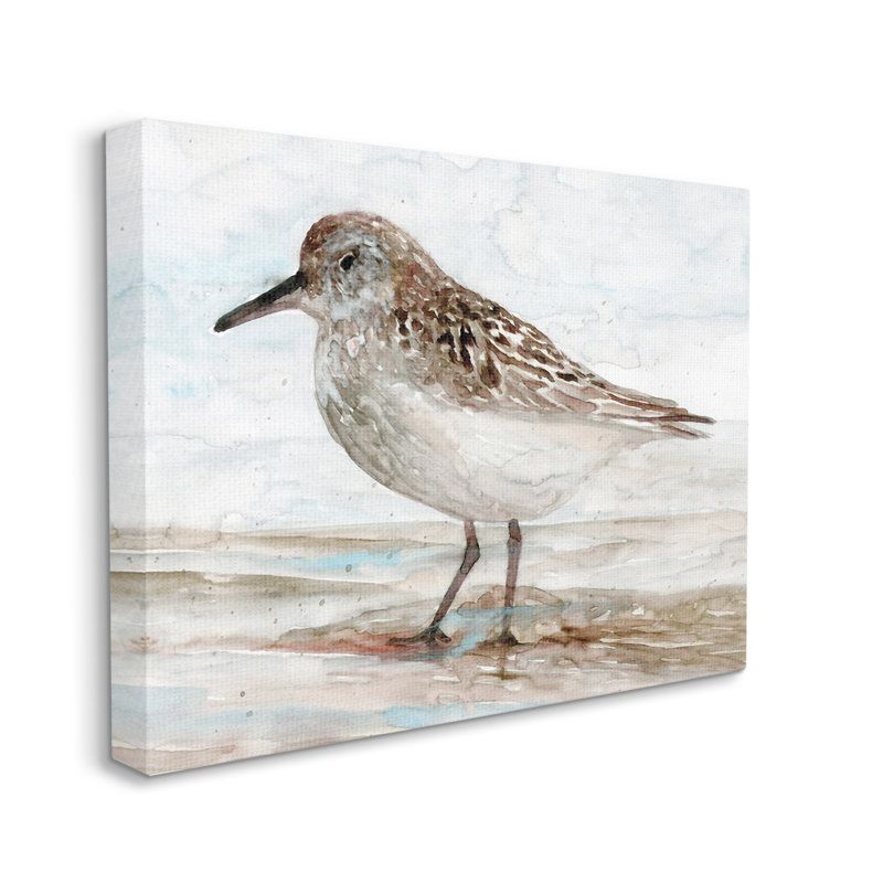 «Sandpiper», toile de plage mouchetée par des oiseaux de la côte nautique sur toile tendue par Stellar Design Studio