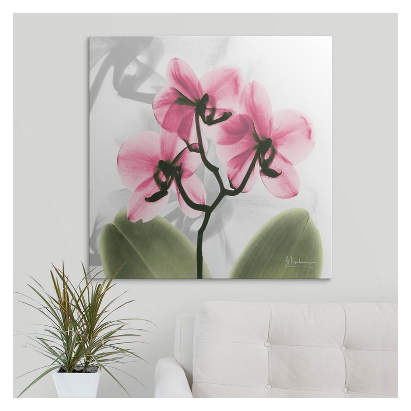 'Orchid X-Ray by Albert Koetsier Photographic Print, 35" H x 35" W x 1.5" D, Canvas