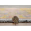 Tapis jaune et ivoire Laurel-413325201