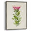 «Pretty Pink Botanicals IV», reproduction encadrée - bois massif 2768831-1186526842