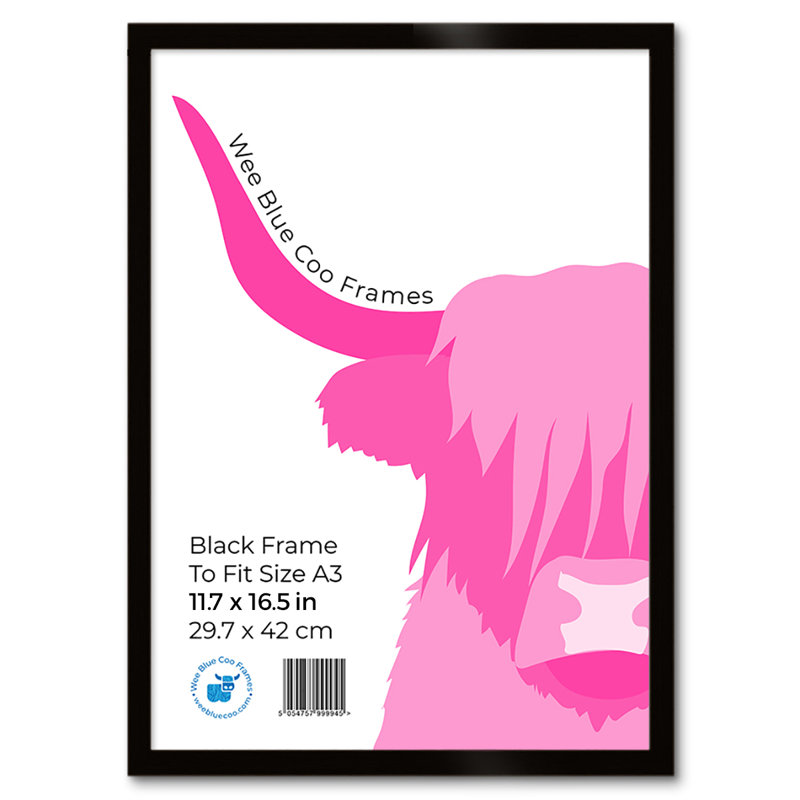 Picture Frame, Black, 45.5cm H x 33cm W