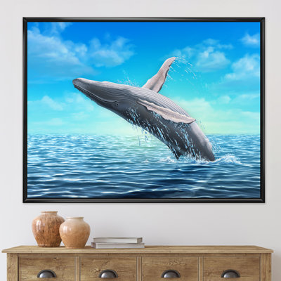 " Humpback Whale Jumping "