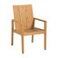 Ashland Patio Dining Armchair with Cushions-750875538-749763353-727570218