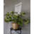 Fig Leaf Branch 39"