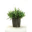 Faux Plant in Ceramic Planter-1377402222
