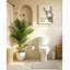 Canvas Wall Decor