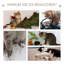 120cm H Cat Tree