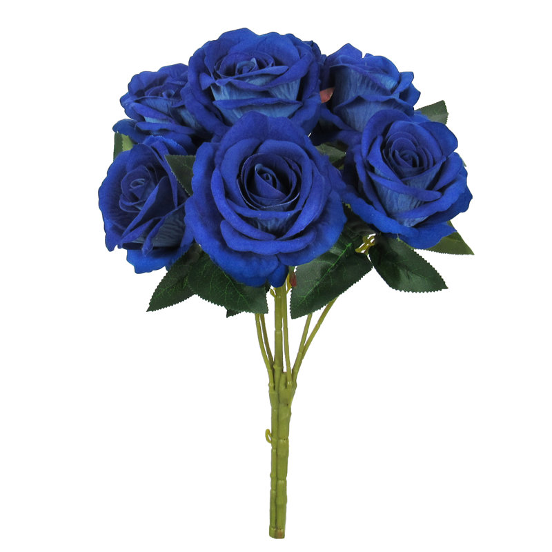 Velours rosier, Bleu royal