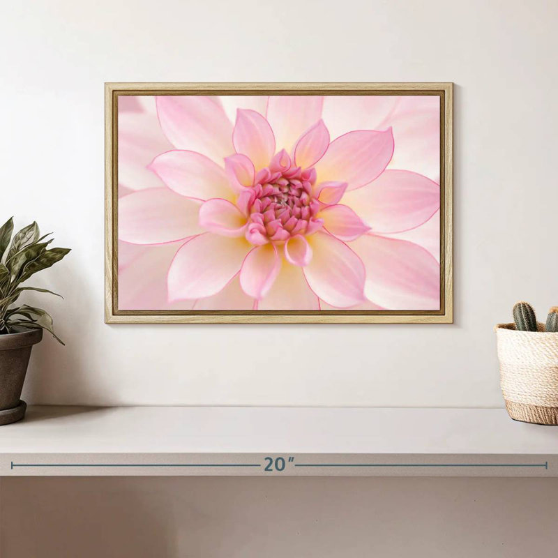 Pétales de dahlia rose clair, Cadre flottant en bois naturel, 13 po x 9 po