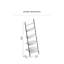 Lincoln 182cm H Iron Ladder Bookcase-31955365