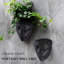 Metal Wall Planter