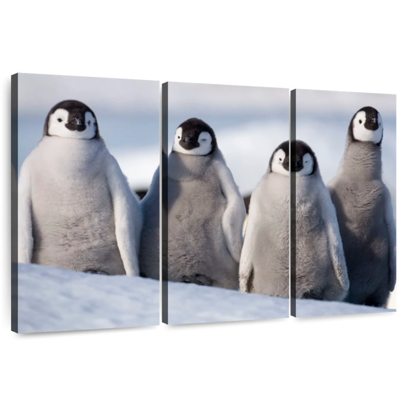 Brampt Emperor Penguin Chick Waddle, 24" H x 38" W