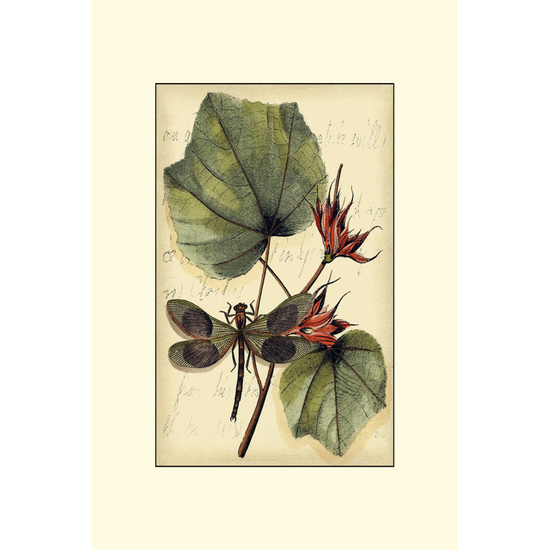 Petite Dragonflies I by Vision Studio - Wrapped Canvas Painting, 46cm H x 30cm W