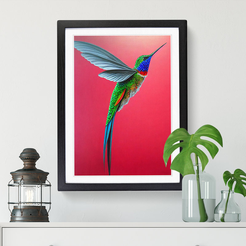 Northlakes Hummingbird Traditional Vol.3 - Picture Frame Print, Black, 64cm H x 46cm W x 2cm D