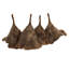 Vickerman 3-10" Natural Calice Multipiece Specimens, approximately 100 multi piece units, Dried