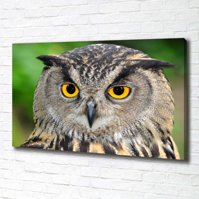 Owl - No Frame Print on Canvas