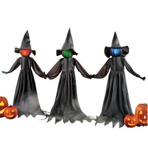 The Holiday Aisle® Witch Stake Trio Garden Stake & Reviews | Wayfair