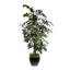 91"H Artifical Fishtail Palm Tree in Black Tapered Tin Pot