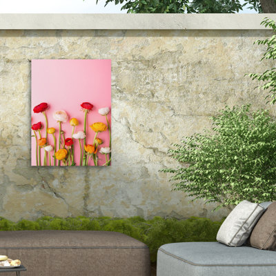 Incado Vibrant Ranunculus Outdoor  Canvas