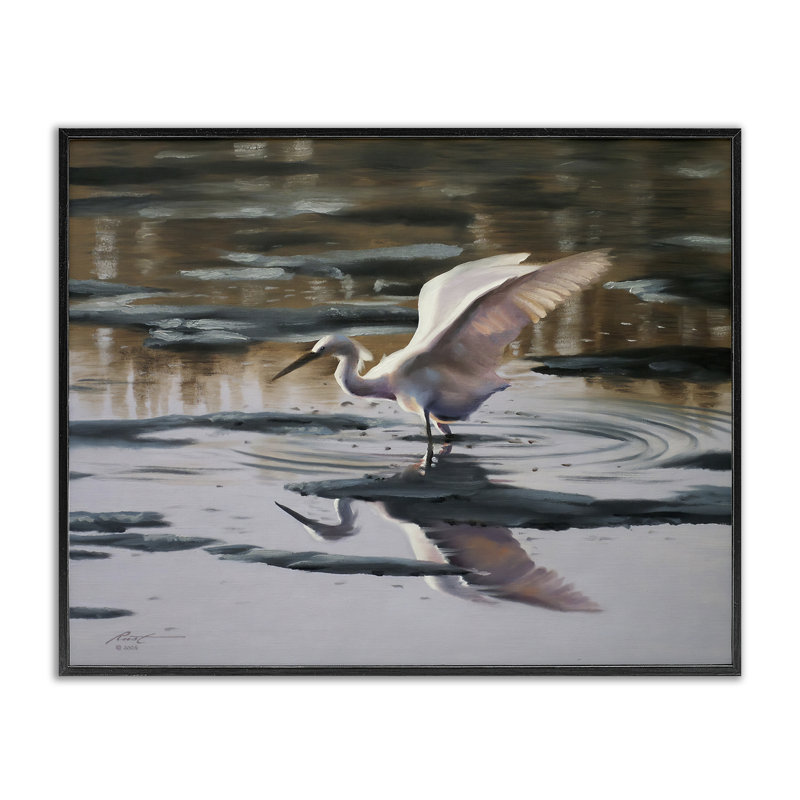 Swan Landing in Water, estampe numérique encadrée par D. Rust, H 11 po x l 14 po, Giclée encadrée noir minuit