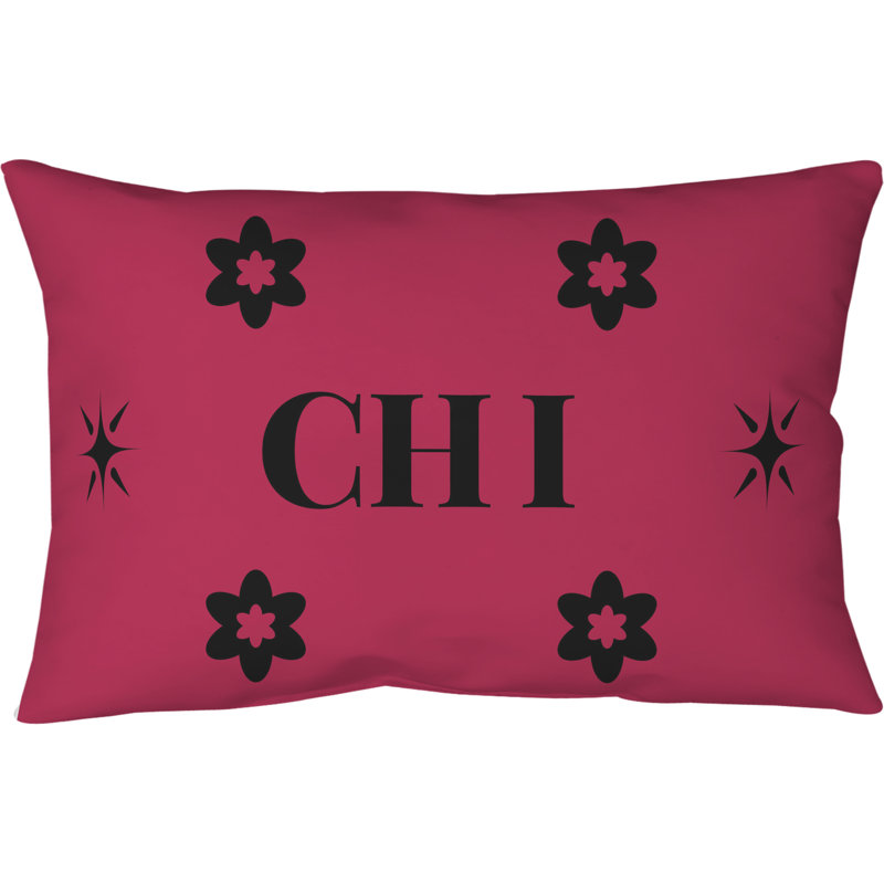 Oreiller en coton sergé 20 pouces x 14 pouces Chicago Basketball Colors, Noir / Rose
