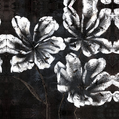 White Flowers with Dark Blue Background 1 Piece Wrapped Canvas Painting