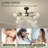 Dawrin 32.3'' Ceiling Fan with 8 LED Lights