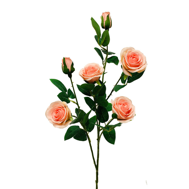 Arrangement de roses