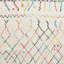 Havilyn Rectangle 120 cm x 170 cm Geometric Berber Area Rug