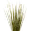 Faux Whip Grass Plant Preserved