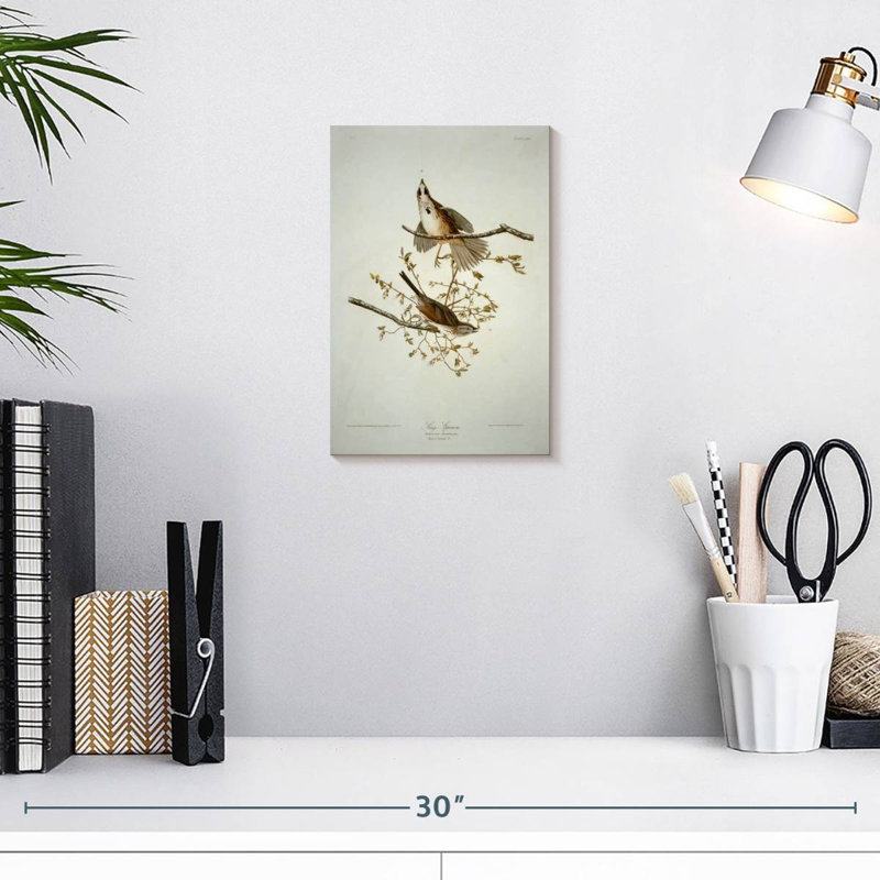 Bruant chanteur des oiseaux d'Amérique, H 12 po x l 8 po