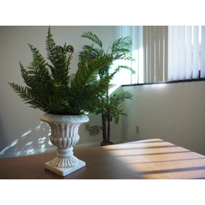 17'' Faux Fern Tree in Porcelain Urn