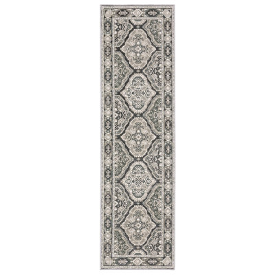 Raynisha Oriental Indoor Rug