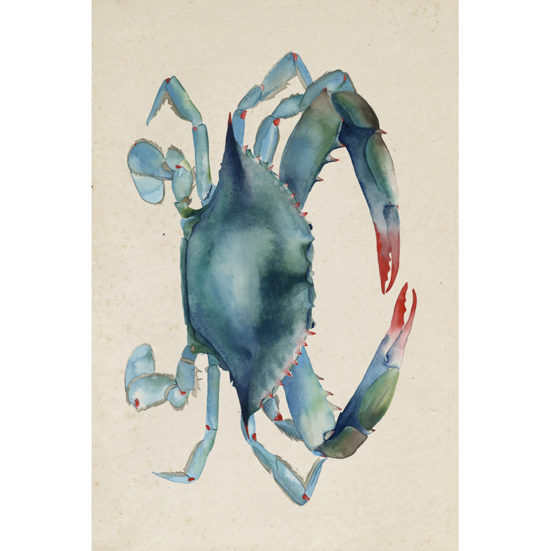 Sea Dweller III by Grace Popp - Wrapped Canvas Painting Print, 122cm H x 81cm W, Wrapped Canvas