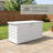 Biohort LeisureTime 120 52.75" L x 24.4" W x 27.9" H  Water Resistant Metal Galvanized Steel Deck Box with Lock and Soft Close Hydraulic Lift White-109482202-109482199