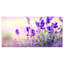 Mauve champ de lavande - impression sur toile tendue-18437062