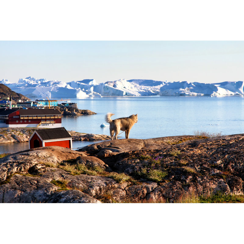 Greenland Dog - Wrapped Canvas Print, 61cm H x 91cm W x 3.8cm D