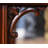 Chippendale Writing Table