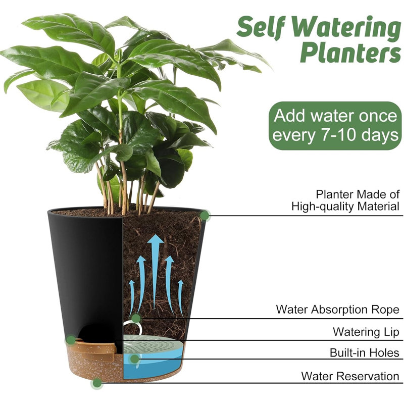 Ensemble de 2 pots à plantes 8 pouces