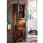 Freezy Display Cabinet