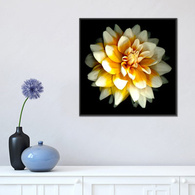 " Dahlia " by Susan Barmon