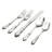 Dover 45 Piece Fine Flatware Set