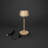 Lyon Cordless Table Lamp - USB Rechargeable, RGB Dimmable LED, Elegant Design-110764324