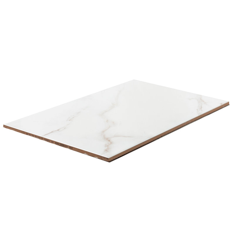 Carreau de sol en porcelaine mate 12 po x 24 po The Tile Life