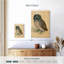 Brampt le petit hibou-108445373