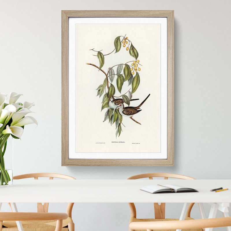Graceful Ground Doves by Elizabeth Gould - Picture Frame Graphic Art Print, Oak Framed, 65cm H x 48cm W x 2cm D
